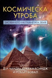 Космическа утроба (Чандра Уикрамасиндж)